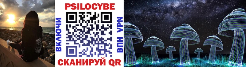 магазин    Жуковский  Псилоцибиновые грибы Psilocybe 